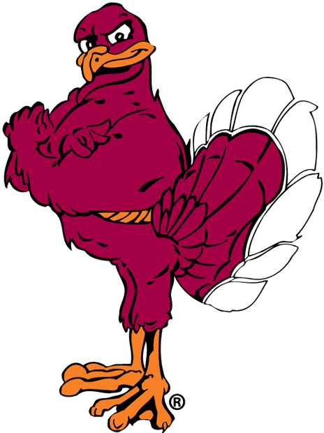 Virginia Tech Hokies 2000-Pres Mascot Logo v2 diy iron on heat transfer...